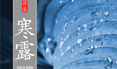 中国·5163银河手机版(股份)有限公司-官方网站